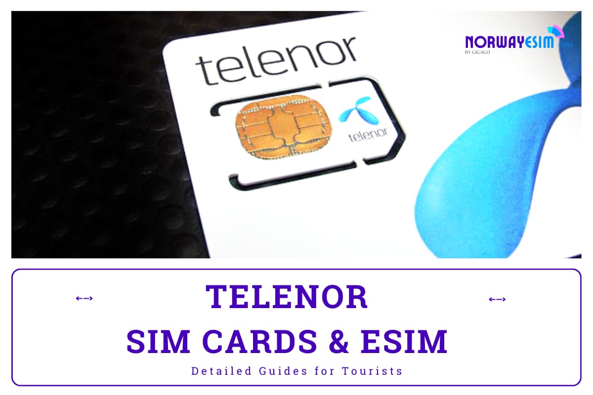 Telenor SIM Card for Tourists