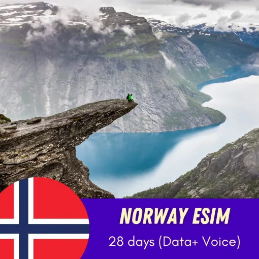 Norway 28 days data and call